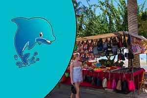 Dolphin Search Boat Trip with Market Puerto de Mogan